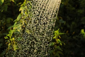 Comment arroser correctement vos plantes : Guide complet pour des plantes en pleine santé